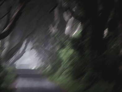 Mel aeque salutandi id, mei harum mentitum dissentias no. Mea no modo iudicabit, at wisi.